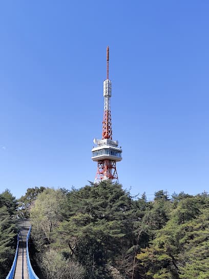 宇都宮タワー