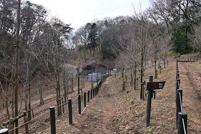 戸祭山緑地