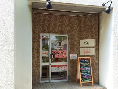 ボディワーク カラー