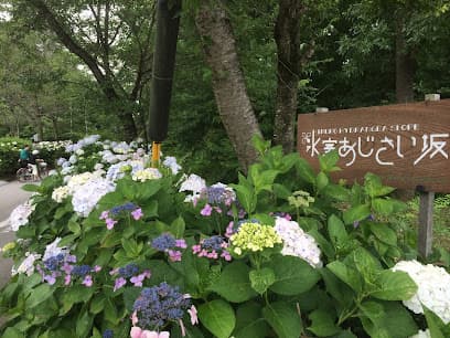 氷室あじさい坂