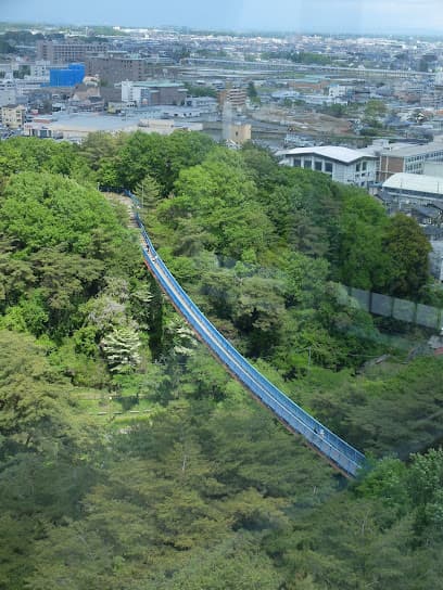 八幡山公園アドベンチャーブリッジ