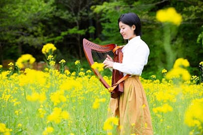 竪琴教室林音 宇都宮教室