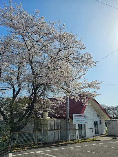 うつのみやスポーツ整骨院